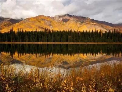 image-4157234591.webp image-4157234591.webp