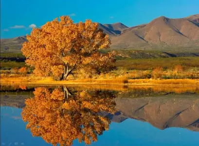 image-938701094.webp image-938701094.webp