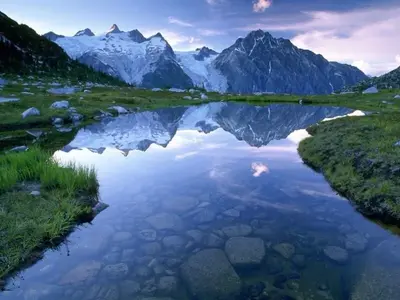 image-1425388070.webp image-1425388070.webp