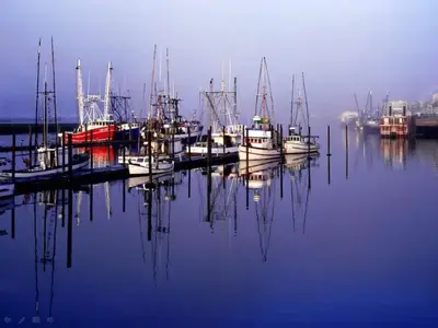 image-4093679883.webp image-4093679883.webp