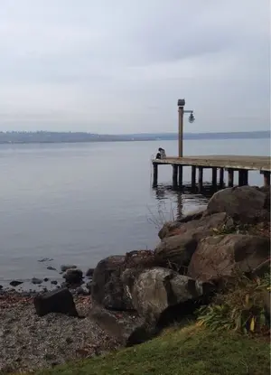 image-3138730170.webp
