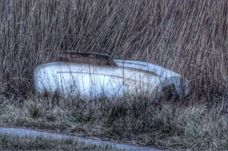 image-63580099.webp