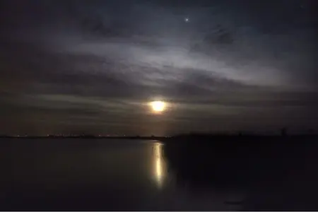 image-2630965741.webp