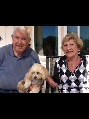 image-4286138137.webp
