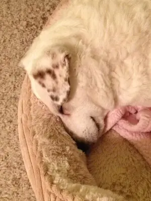 image-1467720627.webp