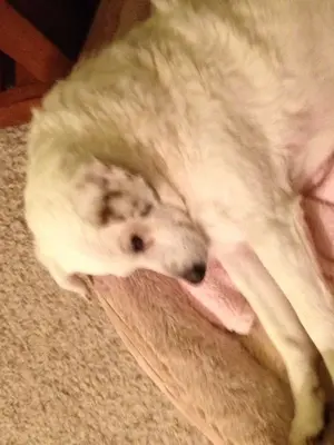 image-1868516782.webp