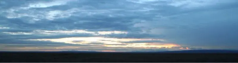 image-2858840497.webp