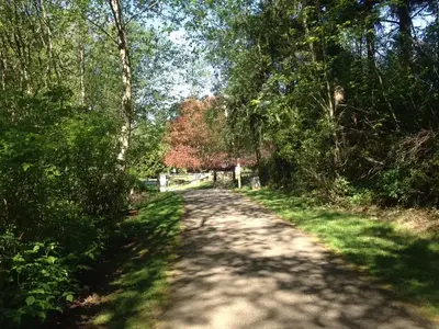image-953298817.webp