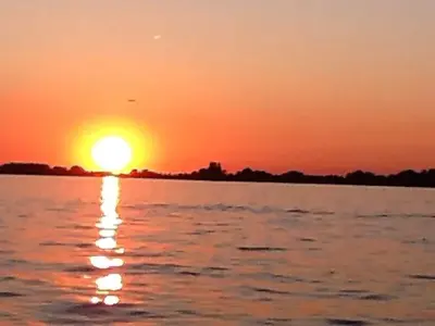 image-55362986.webp
