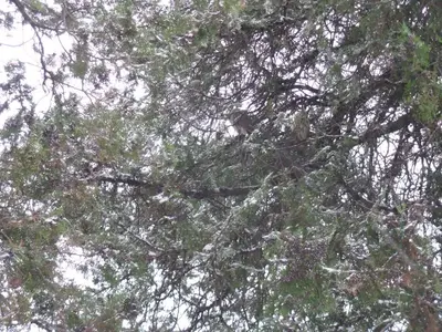 image-2664082074.webp