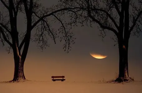 image-1186050990.webp