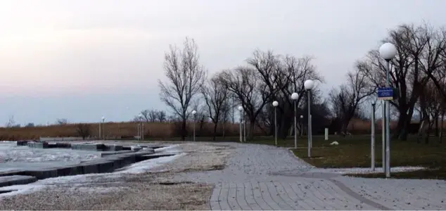image-315854407.webp
