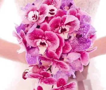 image-4063753834.webp