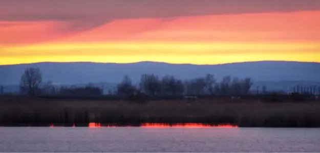 image-1813300418.webp