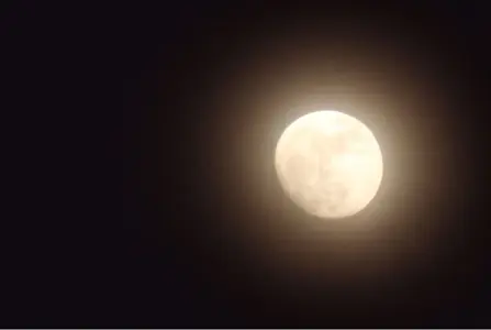 image-4078690200.webp