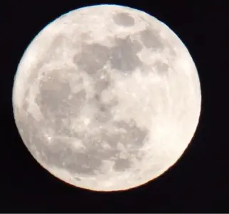 image-4162093167.webp
