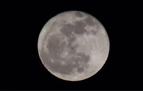 image-666204572.webp