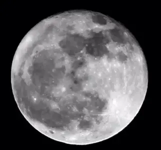 image-2242984378.webp