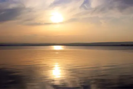 image-3590879426.webp