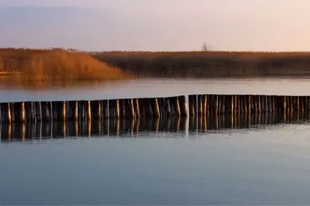 image-2350005393.webp