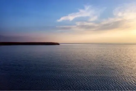 image-1166715537.webp