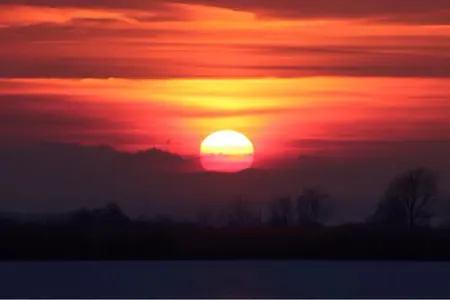 image-1597029179.webp