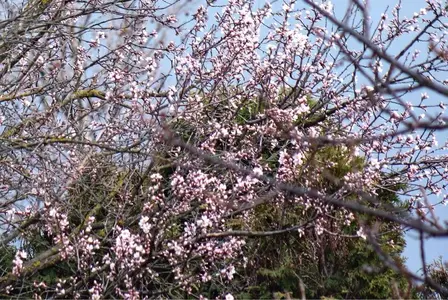 image-2957128057.webp