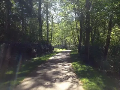 image-3028275951.webp