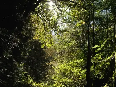 image-3558713029.webp