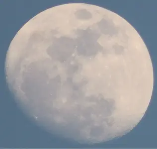 image-2987608547.webp