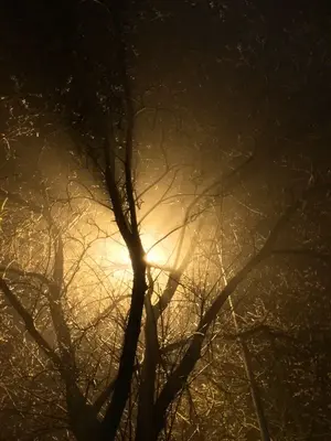 image-2077920750.webp