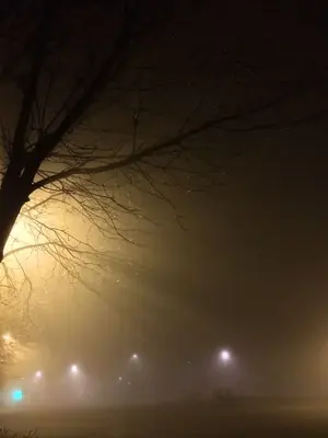 image-3655150728.webp