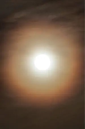 image-2252441615.webp