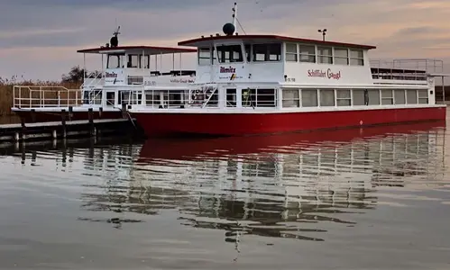image-2341868400.webp