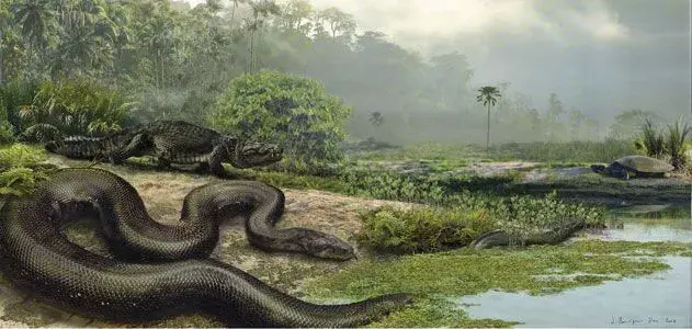 Titanoboa-Monster-dinosaurs-631.webp