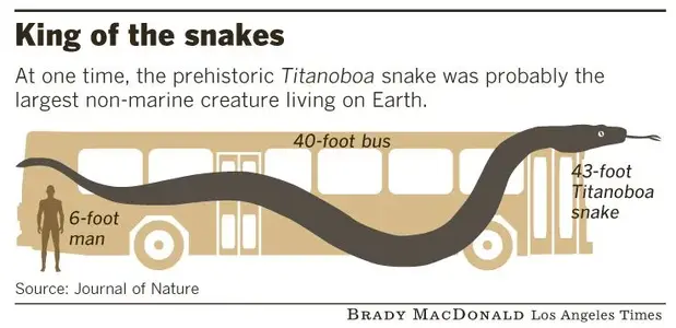 Size_Comparison_of_Titanoboa.webp