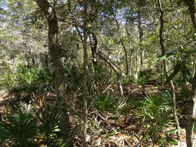 image-1222860219.webp