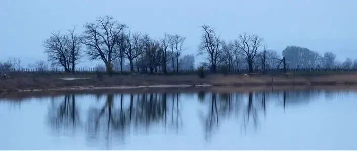 image-1678201032.webp