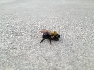 image-4277668521.webp