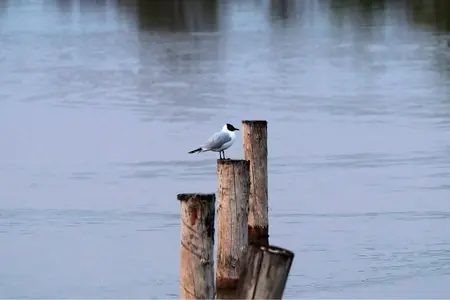 image-166295372.webp