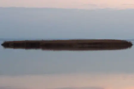 image-2468644871.webp