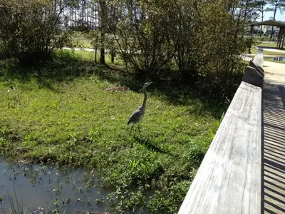 image-2868424554.webp