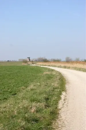 image-2136572801.webp