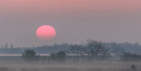 image-380229497.webp