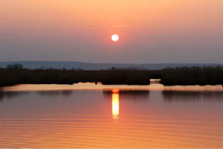 image-80975615.webp
