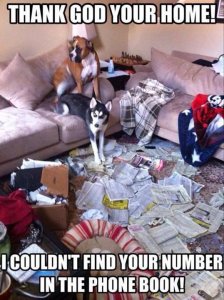 funny-pictures-thank-god-home-dogs-ripped-phone-book.jpg