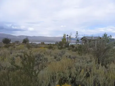 image-3825454023.webp