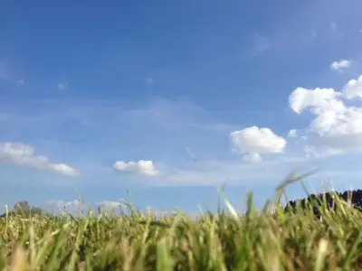 image-895401960.webp