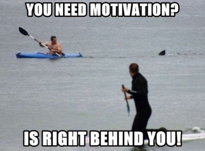 funny-pictures-shark-chasing-canoe.jpg