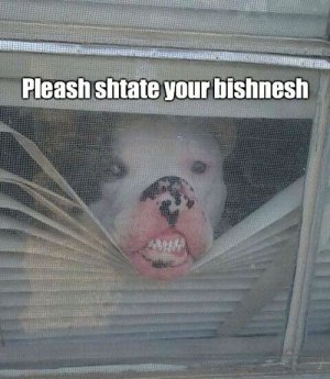funny-pictures-state-business-dog-face-squashed-door.jpg
